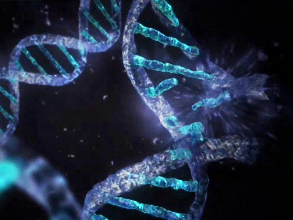 DNA DNA